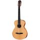 Taylor Academy 12e-N LTD Koa/ B-Stock Eventuellt mindre spår av användning