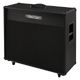 Bad Cat Era 2x12 Cabinet B-Stock Ggf. mit leichten Gebrauchsspuren