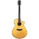 Breedlove Perf Pro Dreadn Conc A B-Stock