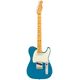 Fender Am Pro Clsc Tele MN FL B-Stock May have slight traces of use