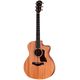 Taylor 24ce B-Stock eventualmente con lievi segni d'usura