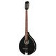 Thomann Irish Bouzouki M1089-P B-Stock Ggf. mit leichten Gebrauchsspuren