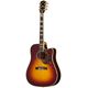 Epiphone Hummingbird Deluxe EC  B-Stock Může mít drobné známky používání