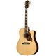 Epiphone Hummingbird Deluxe EC  B-Stock Evt. avec légères traces d'utilisation