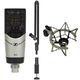 Sennheiser MK8 Recording Desk Bundle