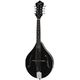 Recording King RAM-3-BK Mandoline B-Stock eventualmente con lievi segni d'usura