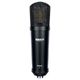 Warm Audio WA-87jr SE Black B-Stock Posibl. con leves signos de uso