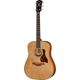 Taylor Gold Label 510e B-Stock May have slight traces of use