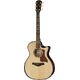 Taylor BE 814ce Next Generati B-Stock May have slight traces of use