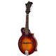 The Loar LM-310E-BRB B-Stock Con leves signos de uso