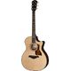 Taylor 414ce Next Generation  B-Stock Enyhe kopásnyomok előfordulhatnak