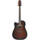 Ibanez AAD51LCE-DVS B-Stock Hhv. med lette brugsspor
