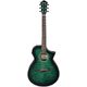 Ibanez AEWC16QA-TEH B-Stock May have slight traces of use