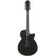 Ibanez AEG1221-BOT B-Stock May have slight traces of use