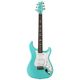 PRS JM Silver Sky RW Wild  B-Stock Poate prezenta mici urme de utilizare