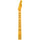 Fender Neck Am Pro Clsc Tele  B-Stock May have slight traces of use