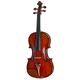 Eastman Andreas Eastman Violin B-Stock Poate prezenta mici urme de utilizare