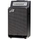 Aguilar Tone Hammer 210 B-Stock eventualmente con lievi segni d'usura