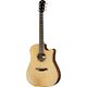 Furch Green Dc-TR a SPE w/GB B-Stock Ggf. mit leichten Gebrauchsspuren