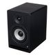 Prodipe Pro 5 V4 Black Wood B-Stock May have slight traces of use