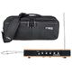 Moog Etherwave Theremin Bundle