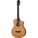 Furch GNc 2-CW a w/GB Grand  B-Stock May have slight traces of use
