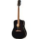 Epiphone Hummingbird Tribute Eb B-Stock eventualmente con lievi segni d'usura