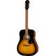 Epiphone PR-150 GC Exclusive VS B-Stock Ggf. mit leichten Gebrauchsspuren