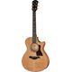 Taylor Next Gen 512ce B-Stock Hhv. med lette brugsspor