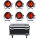 Stairville Outdoor Stage Par 12x3W Bundle