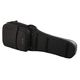 Daddario PW-BLEGC-01 E-Guitar C B-Stock eventualmente con lievi segni d'usura