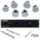 Bose Professional Veritas 1100BH/FS2C W Bundle