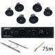 Bose Professional Veritas 1100BH/FS2C B Bundle