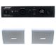 Bose Professional Veritas 1100BH/DM3SE W Bundle