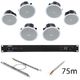 Bose Professional Veritas 2160BH/FS4CE W Bundle