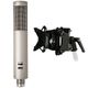 Royer Labs R-12 Shockmount Bundle