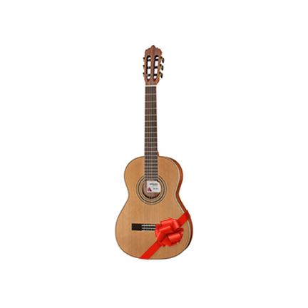 Guitares acoustiques