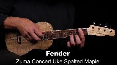 Fender Zuma Konzert-Ukulele Spalted Maple WN