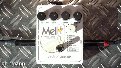 Electro Harmonix MEL9 Tape Replay Machine