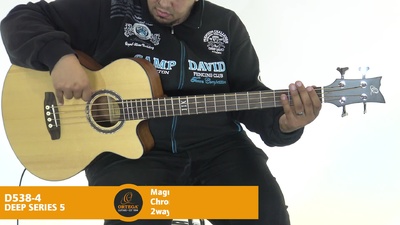 Ortega D 538-4