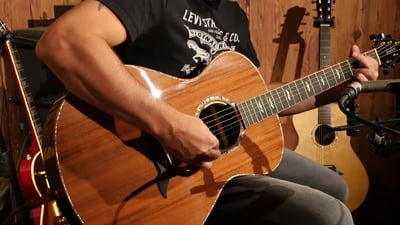 Breedlove Exotic Fingerstylist Westerngitarre