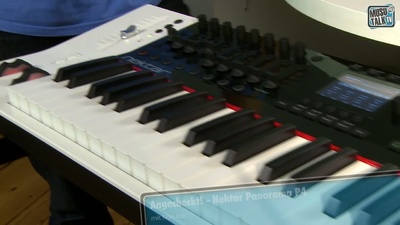 Nektar Panorama P4 USB Controller Keyboard - MusoTalk.TV